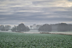 Domke_20201128_093234-1