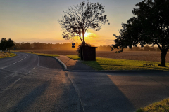 Domke_20210804_201846-1