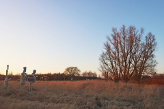 KrueF_IMG02