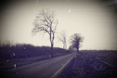 KrueF_IMG03