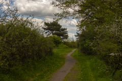 Troeb_5_A0806