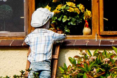 Ack.-Schaufenster-003