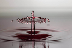 RAW_5_A9758