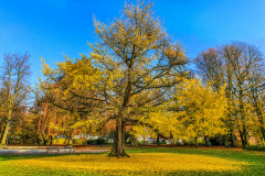 DOM_20191110_112528-1