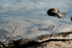1_Rei-DSCF6452.jpgfotoklub-1