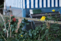 1_Rei-DSCF6479.jpgfotoklub-1