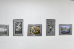 Pano1