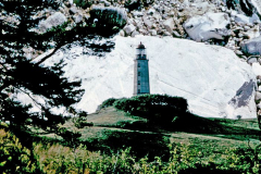 Dietmar Korich