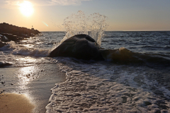 001_IMG_6450_n_Natur