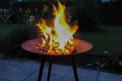troeb-IMG_9824