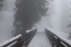 Anne Pallentin Tröstrum