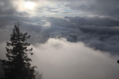 Anne Pallentin Tröstrum