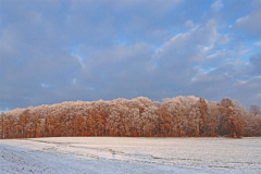 Dal-DSC08940