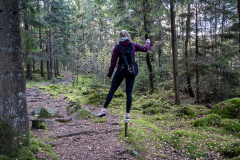 Wolfgang-Gerlach-Wald-02