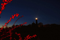 Anne Pallentin Tröstrum