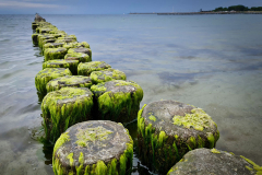 DOM_20210624_161808