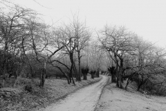 Muet-Weg-01