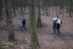 Wolfgang-Gerlach-Der-Weg-02