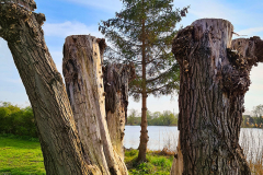 DOM_20210428_172056
