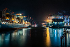 1_troes_MG_0180