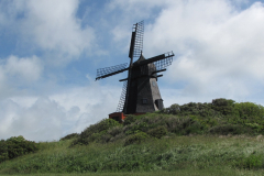Troeb-IMG_8934