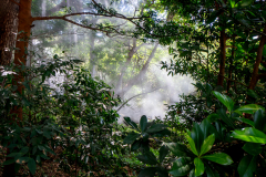 1_Ack.-Nebel-002