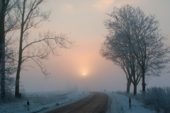 1_Ack.-Nebel-003