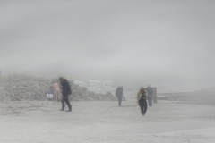 1_Dal-DSC07840