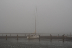1_Kap-Nebel1-1-von-1