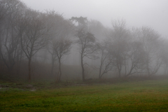 1_Kap-Nebel2-1-von-1