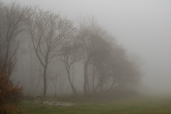 1_Kap-Nebel3-1-von-1