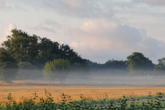 1_Kor-1-Morgennebel
