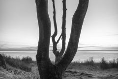 1_Sti__Weststrand29