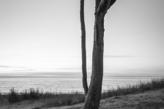 1_Sti__Weststrand30
