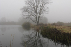 1_Troeb-IMG_3921-1