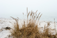 1_Wolfgang-Gerlach-Nebel-01