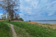 Anne Pallentin Tröstrum