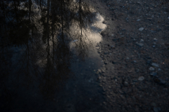 M.Stieler_Querformat_Januar-3