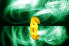 Anne Pallentin Tröstrum