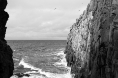 3_M.Stieler_Querformat_April-1