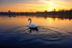 DOM_Bild1