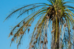 Ack.-Verlassene-Orte-003