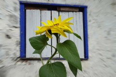 018
